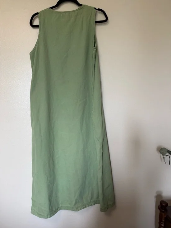 Novelty print Sage Green Sleeveless Embroidered Maxi Dress - Picture 5 of 12